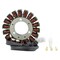 Rmstator Stator for Kawasaki KEF Lakota KLF Bayou 300 1988-2006 RM01284 - alternate 1